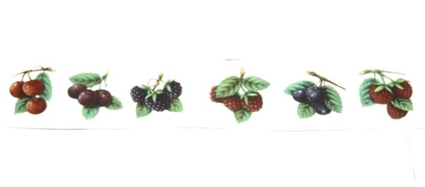 画像1: FRUITS WITHOUT BACKGROUND (1)