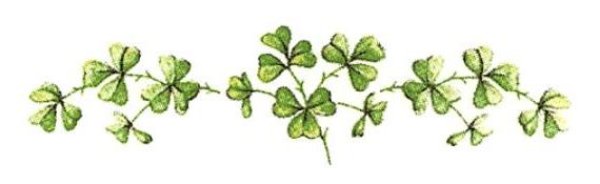 画像1: SHAMROCK (1)