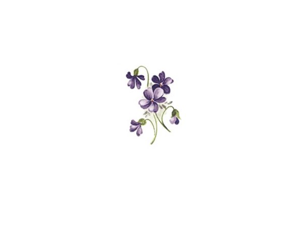 画像1: VIOLETS (1)