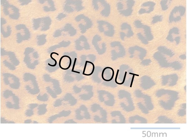 画像1: LEOPARD　（Ｌ） (1)