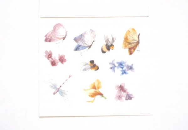 画像1: ANIMALS (1)