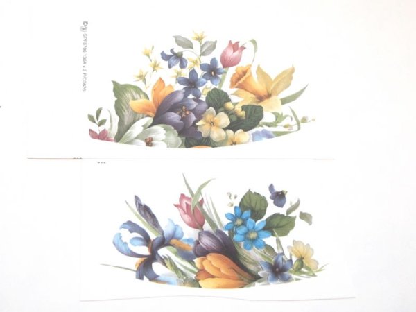 画像1: CROCUS CUPS (1)