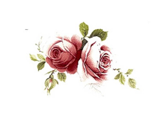 画像1: JUBILEE ROSE (1)