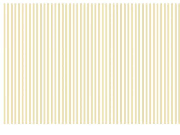 画像1: ストライプ　2mm (1)
