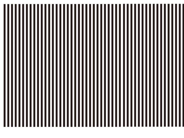 画像1: ストライプ　2mm (1)