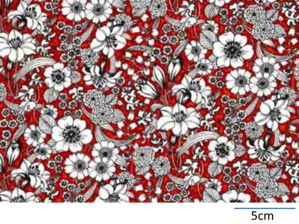 画像1: VALENCIA CHINTZ RED  (Ａ４) (1)