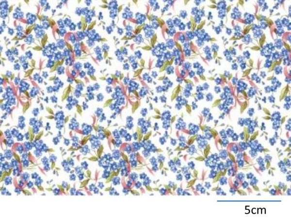 画像1: FORGET ME NOT　（Ｌ） (1)
