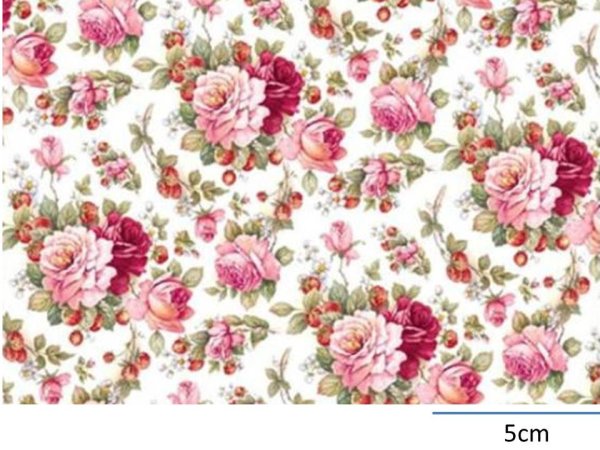 画像1: STRAWBERRIES & CREAM　（Ｌ） (1)
