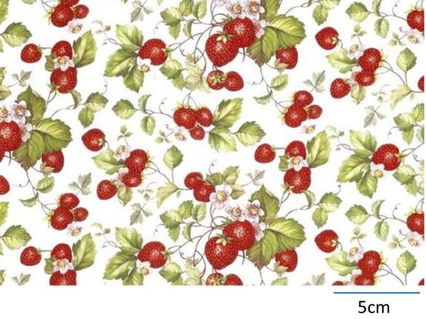 画像1: STRAWBERRY CHINTZ CLEAR  (Ａ４) (1)
