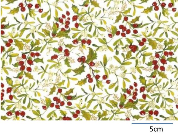 画像1: MISTLETOE & HOLLY CLEAR  (Ａ４) (1)