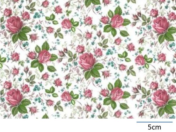 画像1: DUBARRY CHINTZ　（Ｌ） (1)