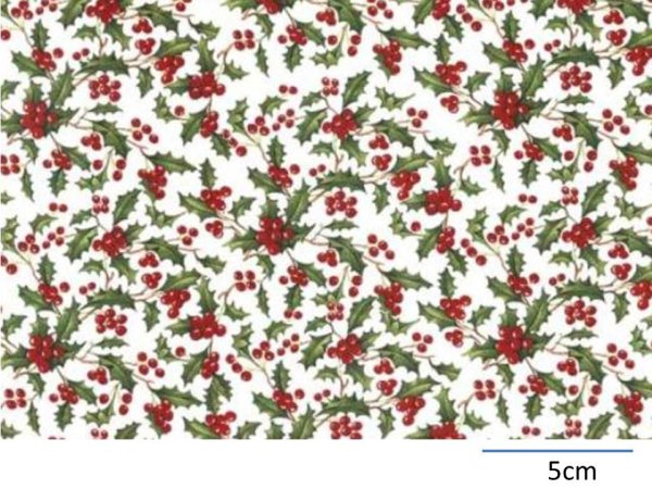 画像1: HOLLY CHINTZ  (Ａ４) (1)