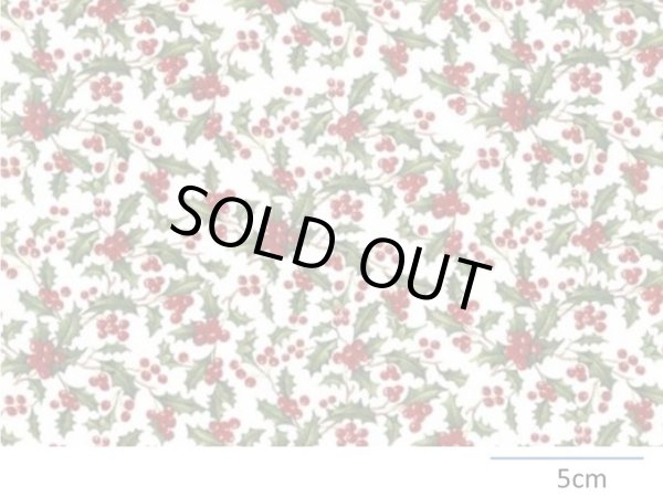 画像1: HOLLY CHINTZ  (Ａ４) (1)