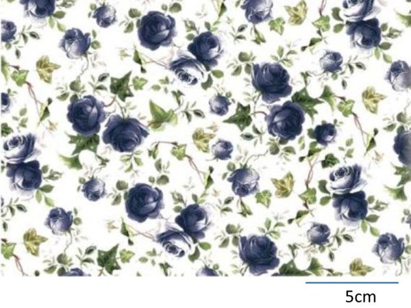 画像1: BLUE IVY ROSE　（Ｌ） (1)
