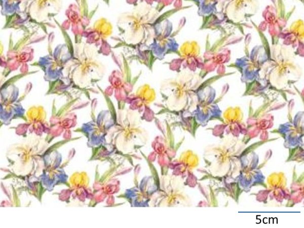 画像1: SWEET IRIS CHINTZ  (Ａ４) (1)