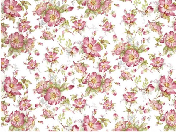 画像1: RAMBLING ROSE　（Ｌ） (1)