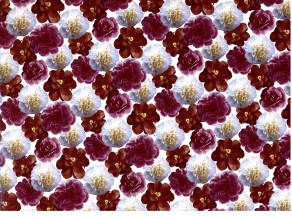画像1: CARNATION(A4) (1)
