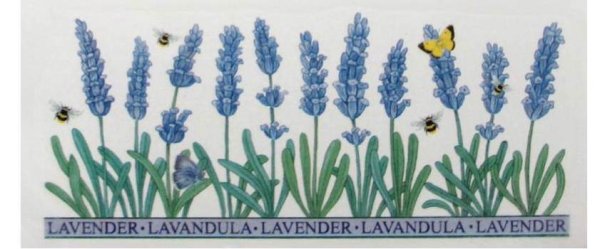 画像1: LAVENDER (1)