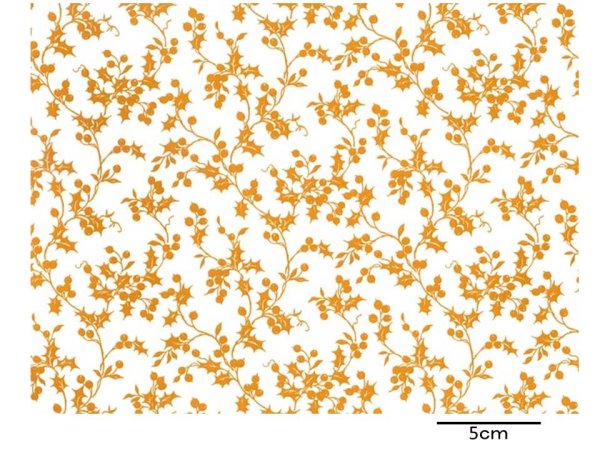 画像1: HOLLY BERRY CLEAR　(A4) (1)