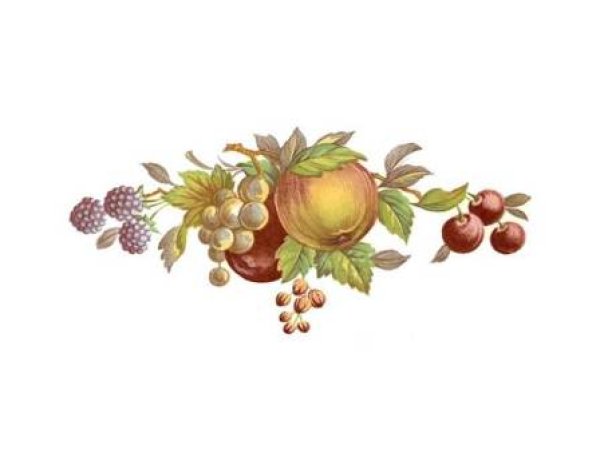 画像1: FRUIT BORDER-APPLE (1)