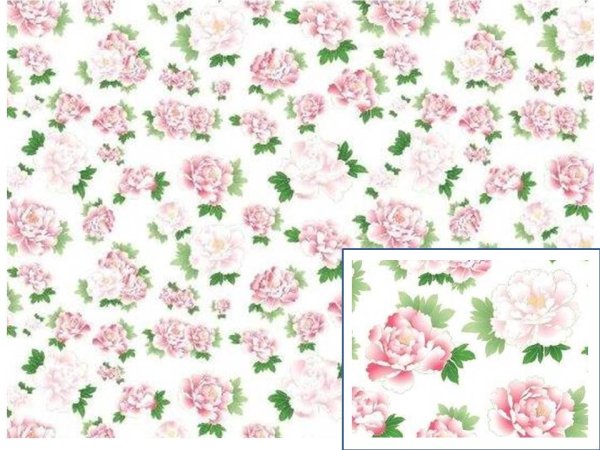 画像1: BOTAN-PEONY SS (A4) (1)