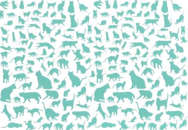 画像1: Cats&Kittens　【ガラス用】 (1)