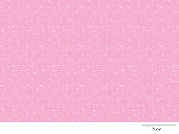 画像1: ツイード (1)
