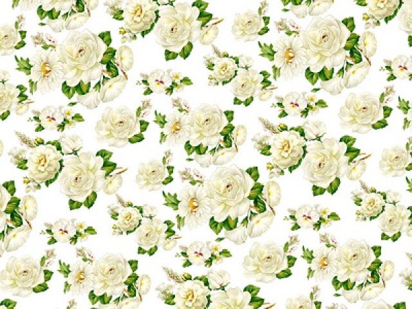 画像1: WHITE MIST CHINTZ（Ｌ） (1)