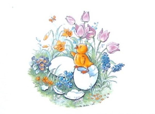 画像1: CHICK【ガラス用】 (1)