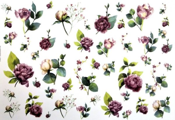 画像1: Blossoms (1)