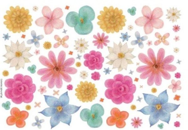 画像1: Felt Flowers (1)
