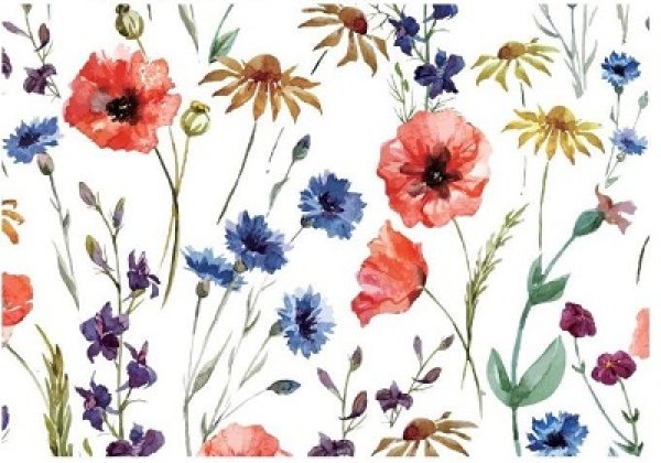 画像1: Summer Meadow LS (1)
