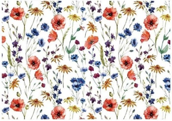 画像1: Summer Meadow SS (1)