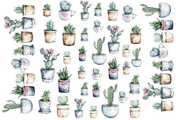 画像1: Succlulent Plants (1)