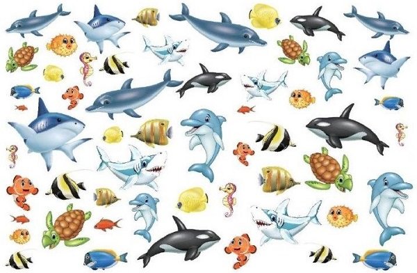 画像1: Sea Story (1)