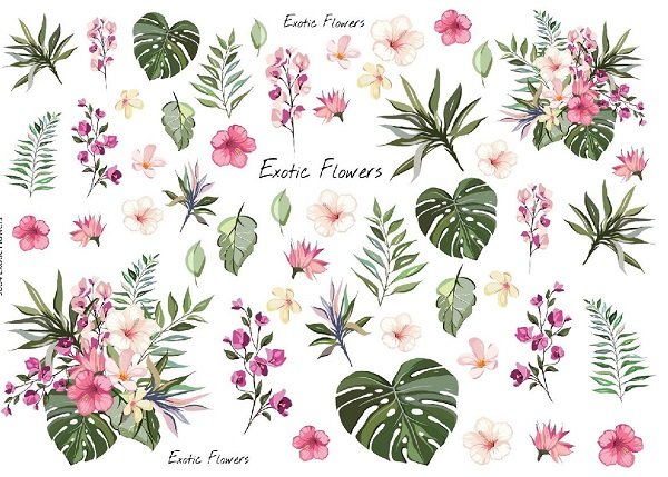 画像1: Exotic Flowers (1)