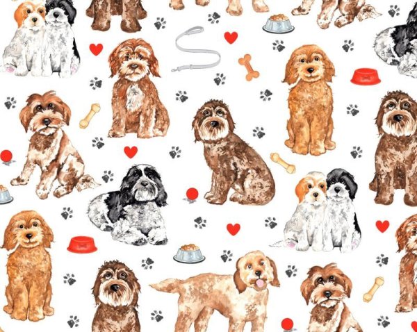 画像1: Cockapoo  (Ａ４) (1)