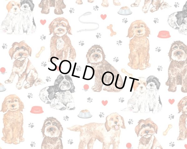 画像1: Cockapoo  (Ａ４) (1)