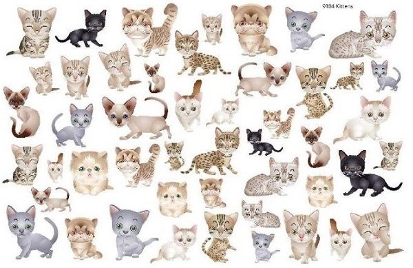 画像1: Kittens (1)