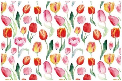 画像1: Tulips