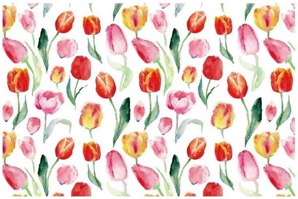 画像1: Tulips (1)
