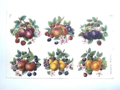 画像1: FRUITS WITHOUT BACKGROUND
