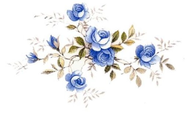 画像1: SCATTER ROSE BLUE (1)