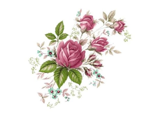 画像1: DUBARRY (1)