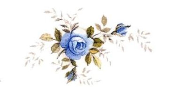 画像1: SCATTER ROSE BLUE (1)