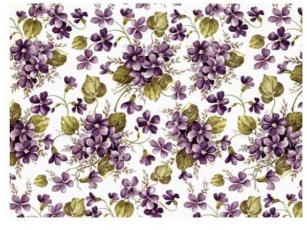 画像1: Vilolet Chintz  (Ａ４) (1)