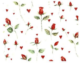 ROMEO （L） - Roterose