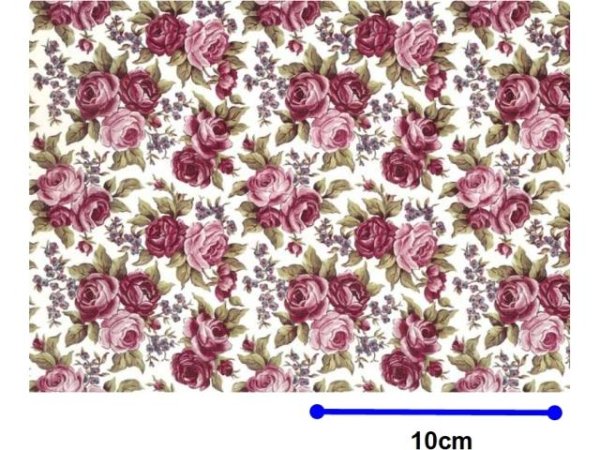 画像1: ALLEGRA small size　（Ｌ） (1)