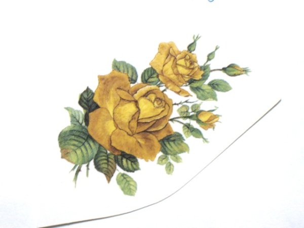 画像1: GOLDEN ROSE (1)
