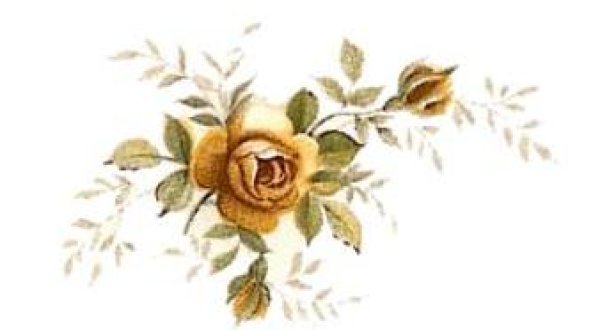 画像1: SCATTER ROSE YELLOW (1)